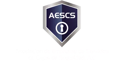 Association of Safe Deposit Box Services Companies Logo