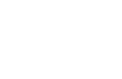 Global shield logo