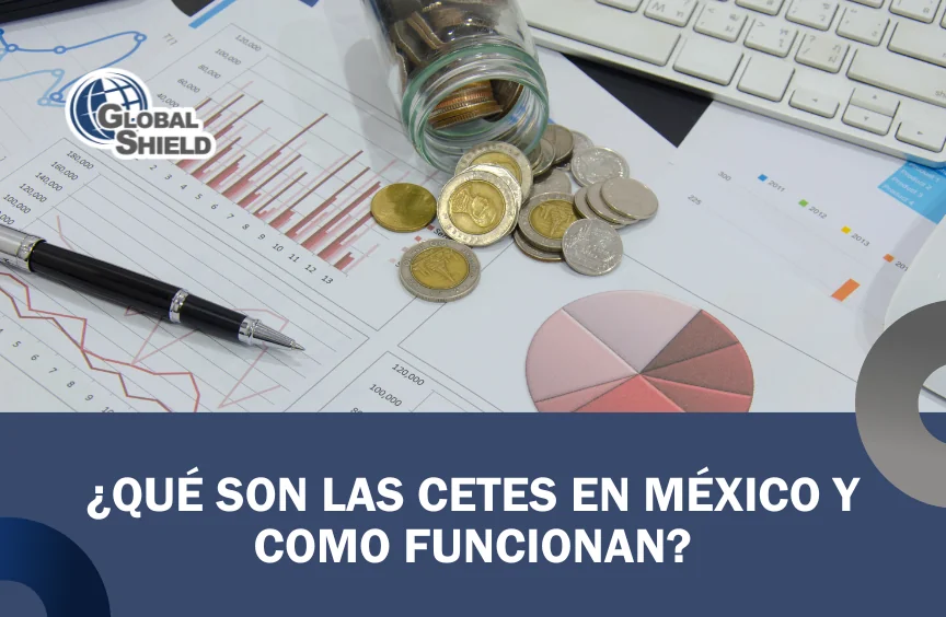 Portada del blog ¿Que son las cetes en México y como Funcionan?.